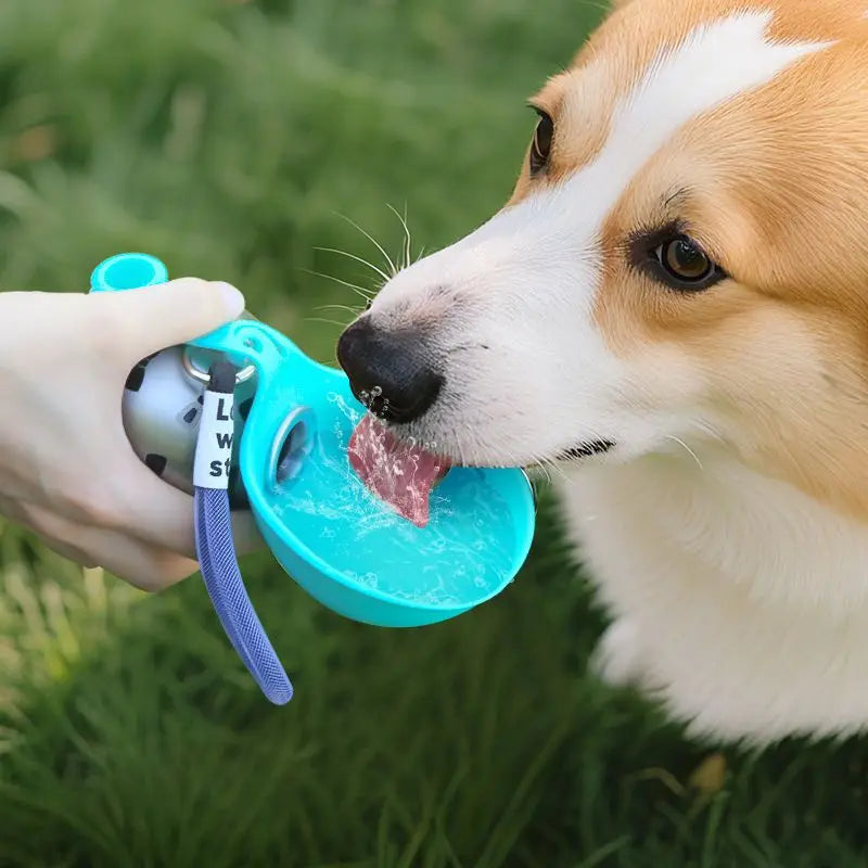 285ML Portable Dog Water Bottle for Small Dogs Leak-Proof  Compact Dog Travel Water Bottle Stainless Steel Bottle Outdoor Kettle
